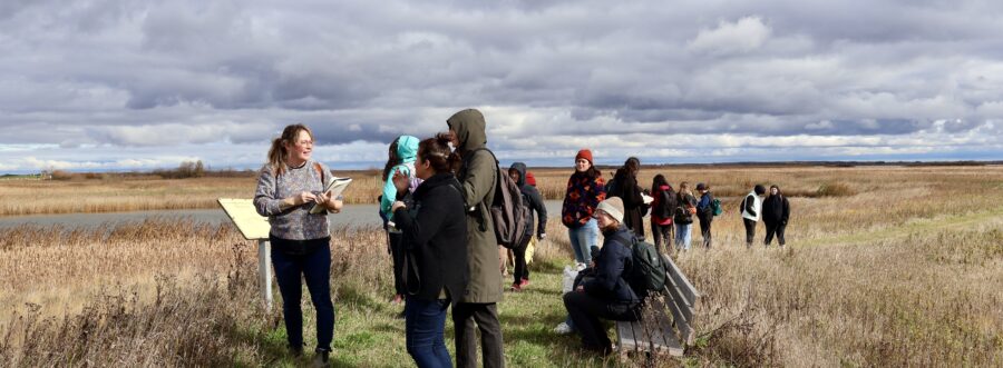 A group of people stand on a path in a marshy prairie landscape.