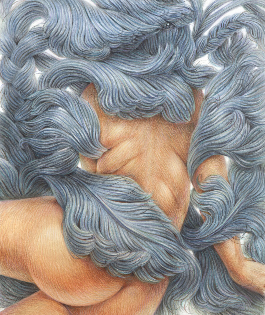 A detailed drawing of a nude figure seen from the back partially engulfed in blue grey formations of hair.