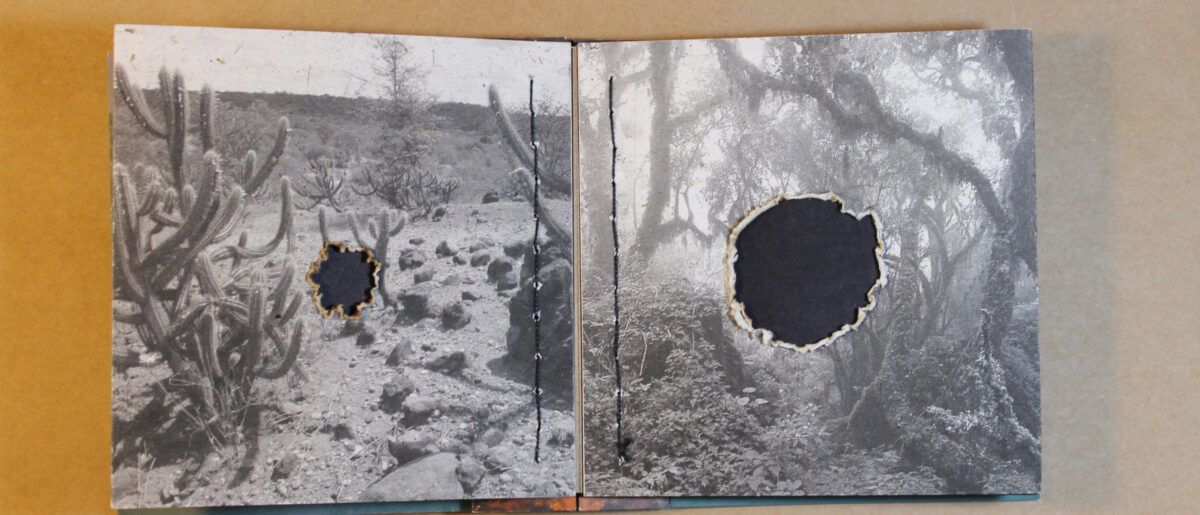 An open book on a brown surface. The black and white images on the pages are of the desert and a wooded area. In the middle of each page is a hole with burnt edges.