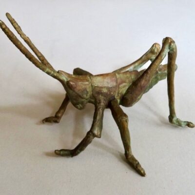 Sculpture of a grasshopper in bronze by Yolanda Paulsen