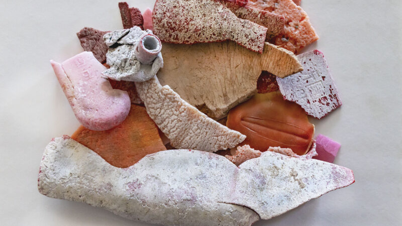 Pieces of weathered plastic are assembled to create a shape reminiscent of an internal organ.