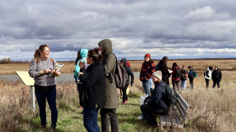 A group of people stand on a path in a marshy prairie landscape.