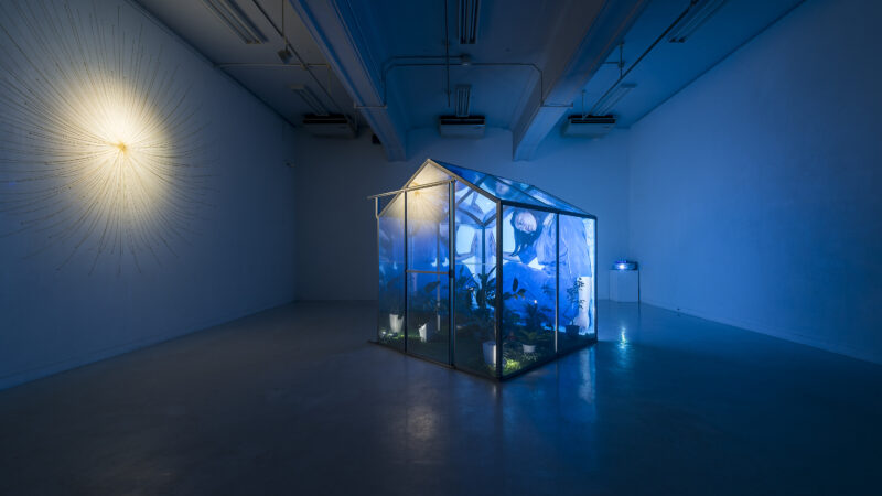 A small structure shaped like a house with transparent walls sits in a darkened gallery. The structure contains potted plants and a projection of a woman crouched over on the rear wall.