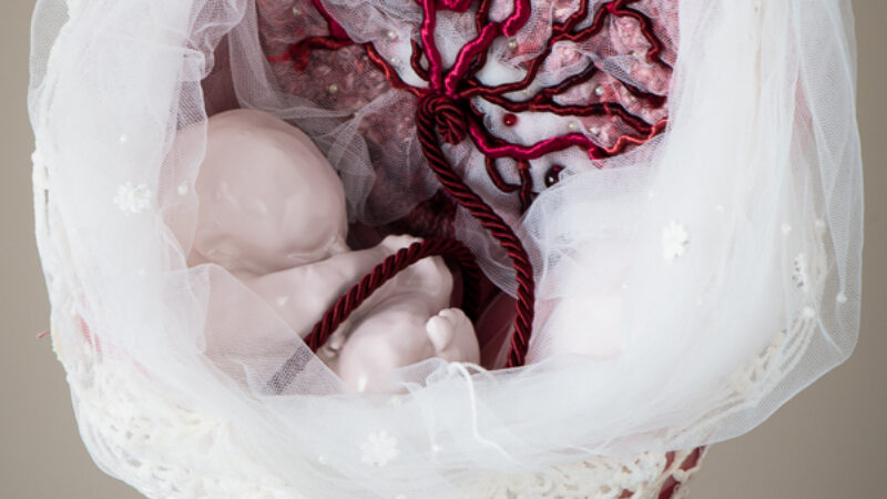 Artwork by Kelly Klick depicting a fetus in a womb. The fetus is a clay sculpture and the womb is made out of textiles.