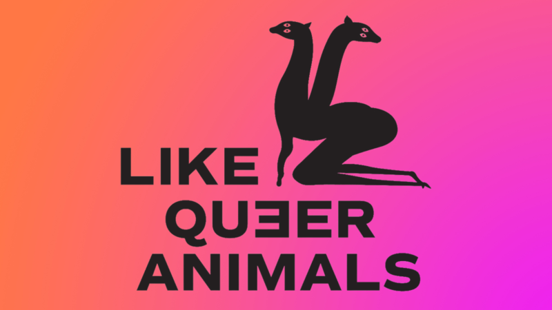 Black graphic on a gradient orange to purple background with text that says Like Queer Animals and a silhouetted creature with two deer like heads.